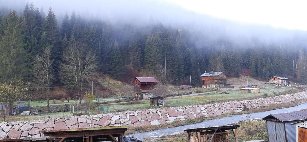 Darenato Apartment Santo Stefano Di Cadore