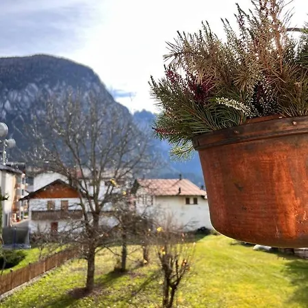 Darenato Apartment Santo Stefano Di Cadore Exterior photo